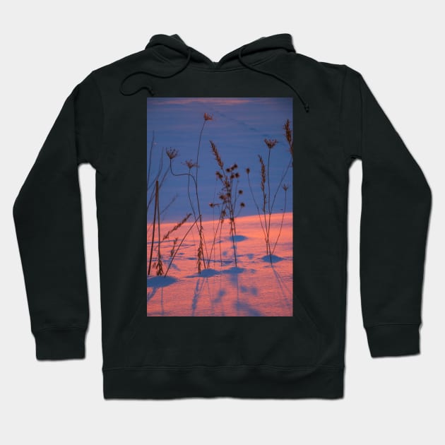 silhouettes of dry grass at sunset in a snowy field Hoodie by Olga Berlet